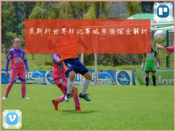 莫斯科世界杯比赛城市场馆全解析