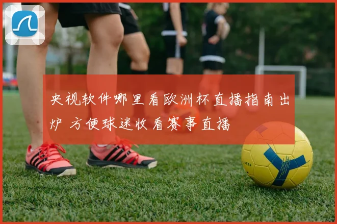 央视软件哪里看欧洲杯直播指南出炉 方便球迷收看赛事直播
